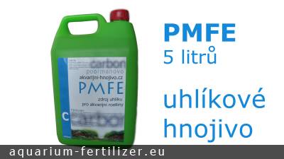 PMFE - 3l